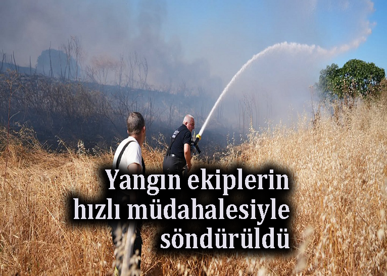 200 dönüm buğday yandı